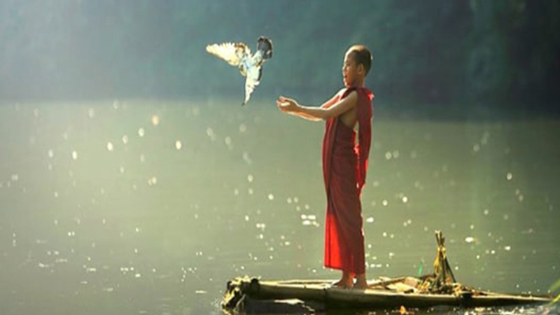 Phóng sanh nhằm kêu gọi chúng sinh hạn chế sát sanh